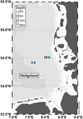 Complementary Metaproteomic Approaches to Assess the Bacterioplankton Response toward a Phytoplankton Spring Bloom in the Southern North Sea